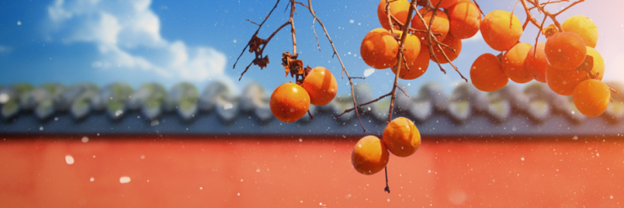 霜降 | 寒霜冬將至，補(bǔ)陽須及時