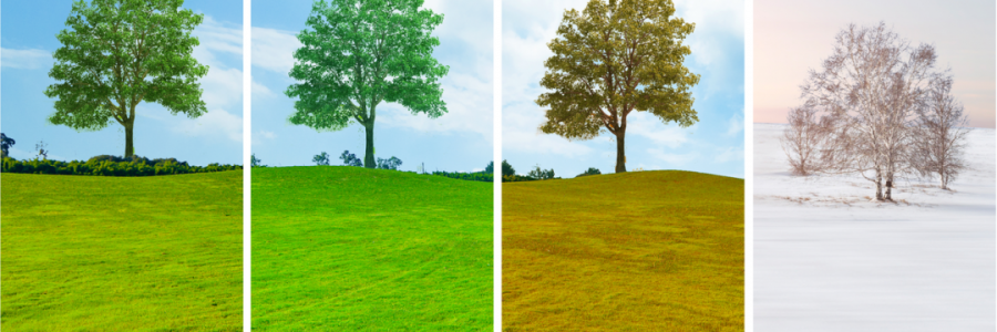 讀懂五臟五行與四季的關系，養生才算入門……