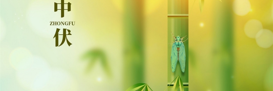 不想越扎越深？ 中伏拔病根，不做病床人！