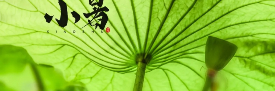 小暑丨避暑養心，準備入伏